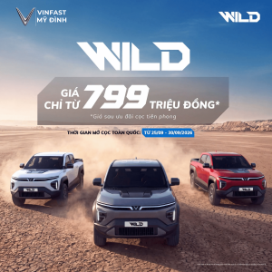 Mở Cọc VF Wild